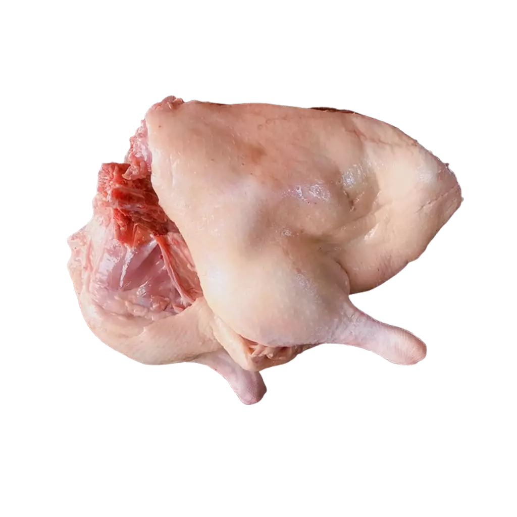 Đùi Vịt Góc Tư