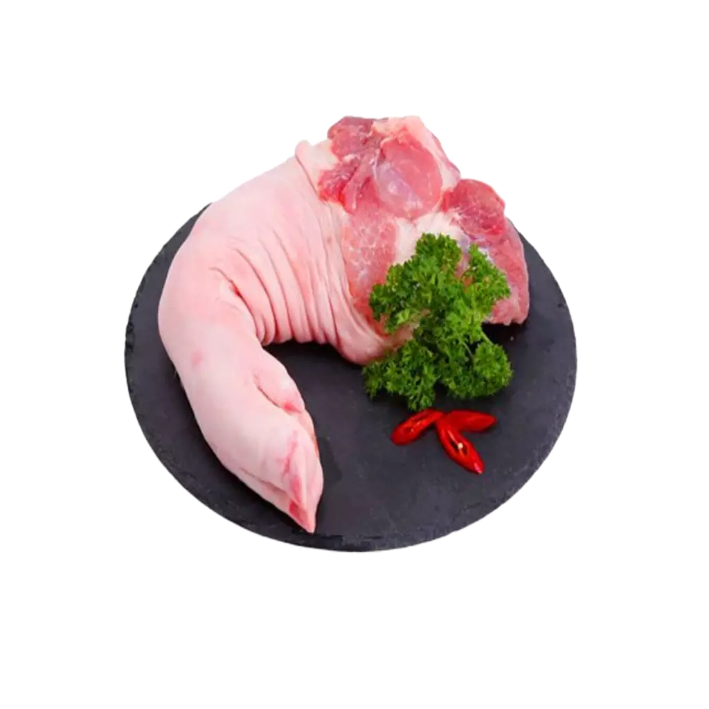 Chân trước nguyên cái Be. Campbell (Úc)