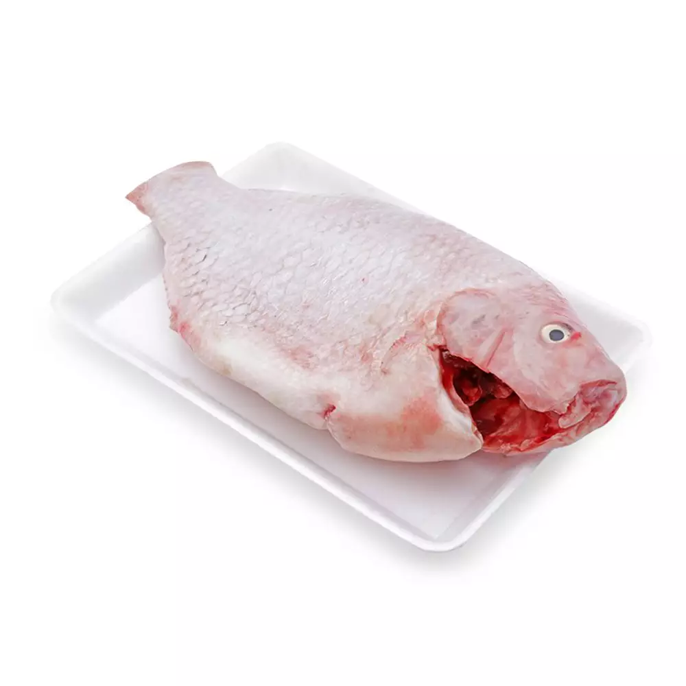 Cá Diêu Hồng Size 600gr - 800gr