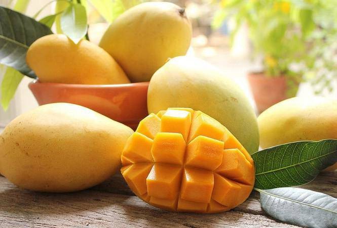 Xoài cực tốt cho sức khỏe, nhưng ăn sai cách có thể thành... 'thuốc độc'