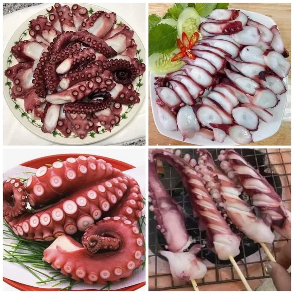 Râu Bạch Tuộc (net 6)