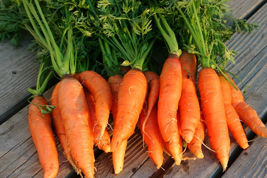 CÔNG DỤNG CỦA CÀ RỐT ĐỐI VỚI SỨC KHỎE – SUNI GREEN FARM