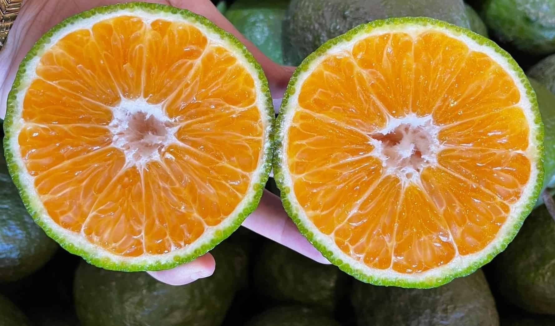 Cam sành Miền tây Loại 1