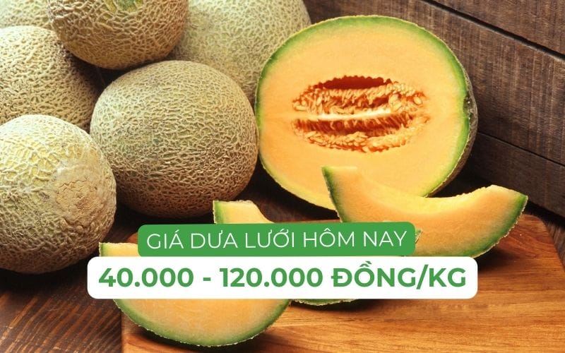 Giá dưa lưới vàng, dưa lưới xanh hôm nay bao nhiêu 1kg?