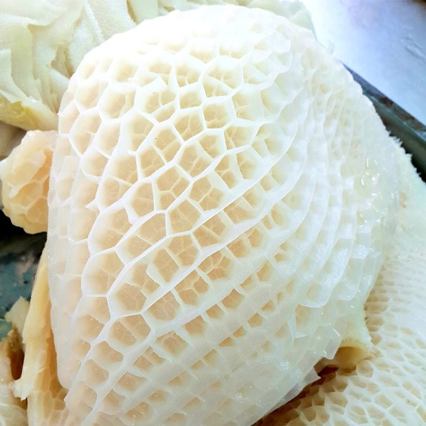 Tổ ong trắng