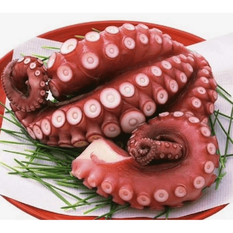 Râu bạch tuộc – HẢI SẢN TƯƠI SỐNG