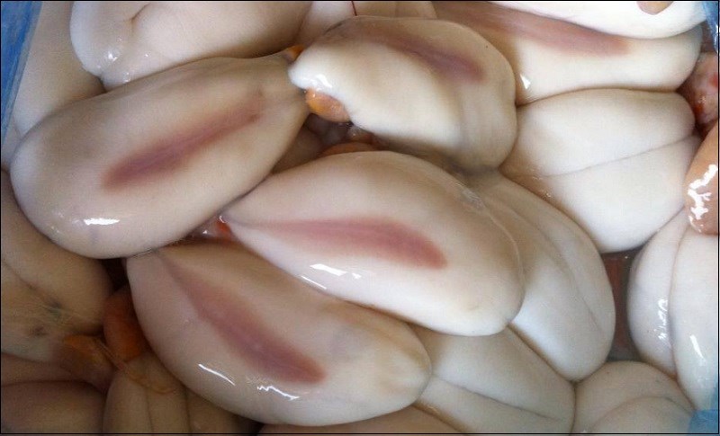 hinh-anh-thuc-te-trung-cua-con-muc-nang