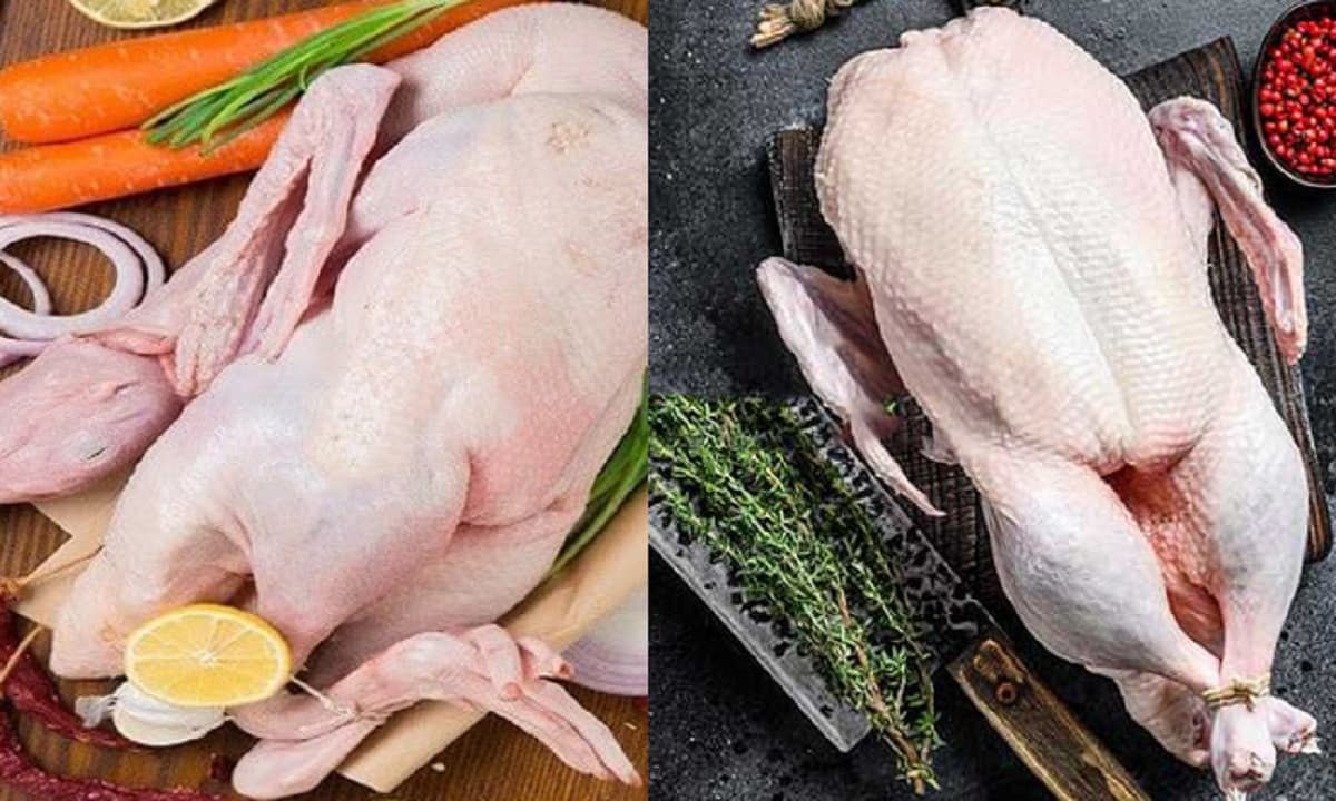 Thịt gà, thịt vịt, thịt ngan khác nhau như thế nào, thịt nào bổ và ngon  nhất? Hôm nay nói cho bạn biết!