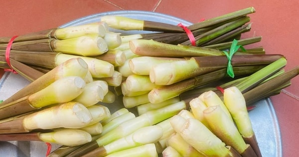 Củ niễng - món ngon đặc sản của Nam Định
