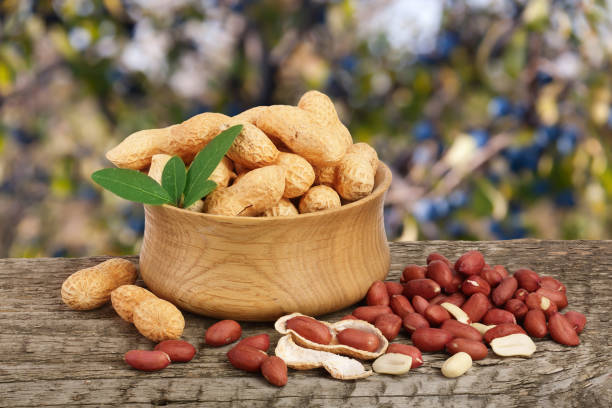 Lý do ăn lạc tốt cho người giảm cân