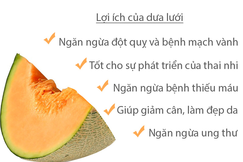 Công dụng tuyệt vời của dưa lưới không phải ai cũng biết? - Ngọc Thành Farm