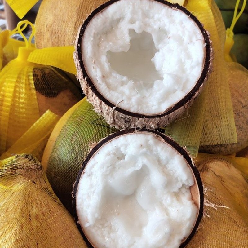 Dừa Sáp Cầu Kè Trà Vinh