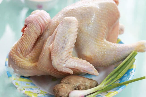 A-Z] Cách nhận biết gà thả vườn và gà công nghiệp. Đọc ngay!