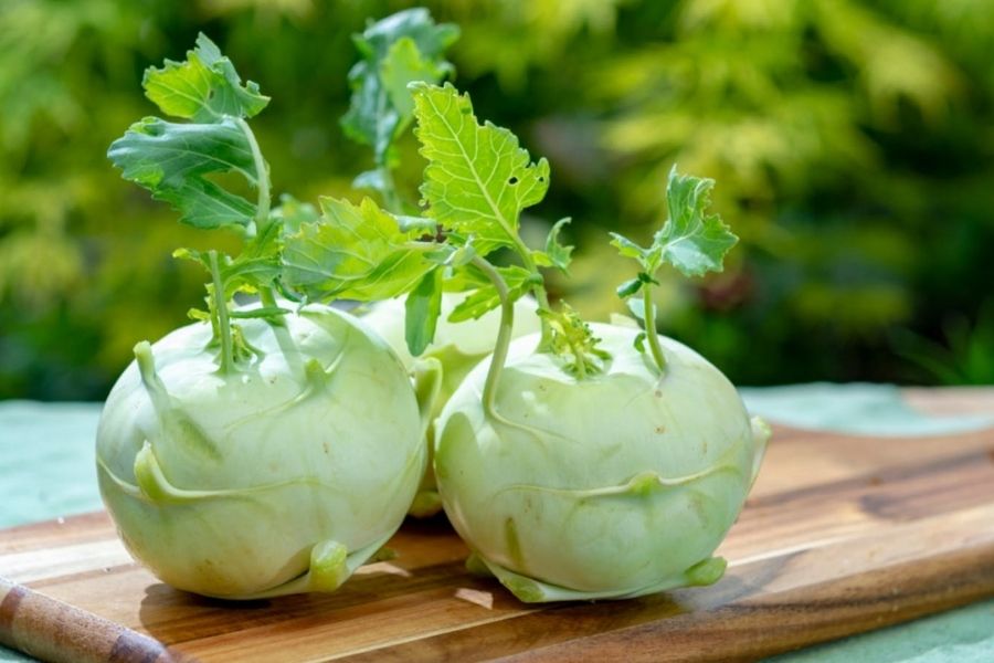 Cách Chọn Su Hào Tươi Ngon Không Hóa Chất 