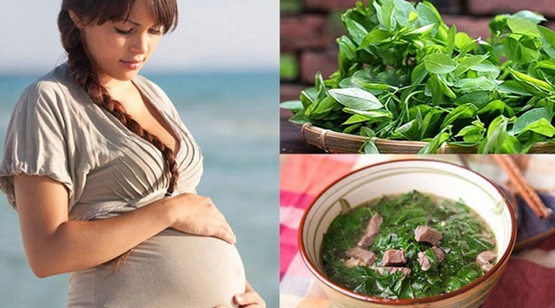 Giải đáp: Bà bầu ăn rau ngót được không? - Nhà thuốc Long Châu