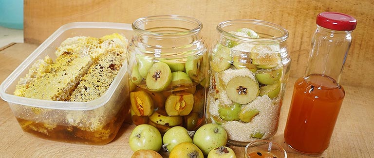 Rượu Táo Mèo Có Tác Dụng Gì, Cách Ngâm Và Dùng Thế Nào?